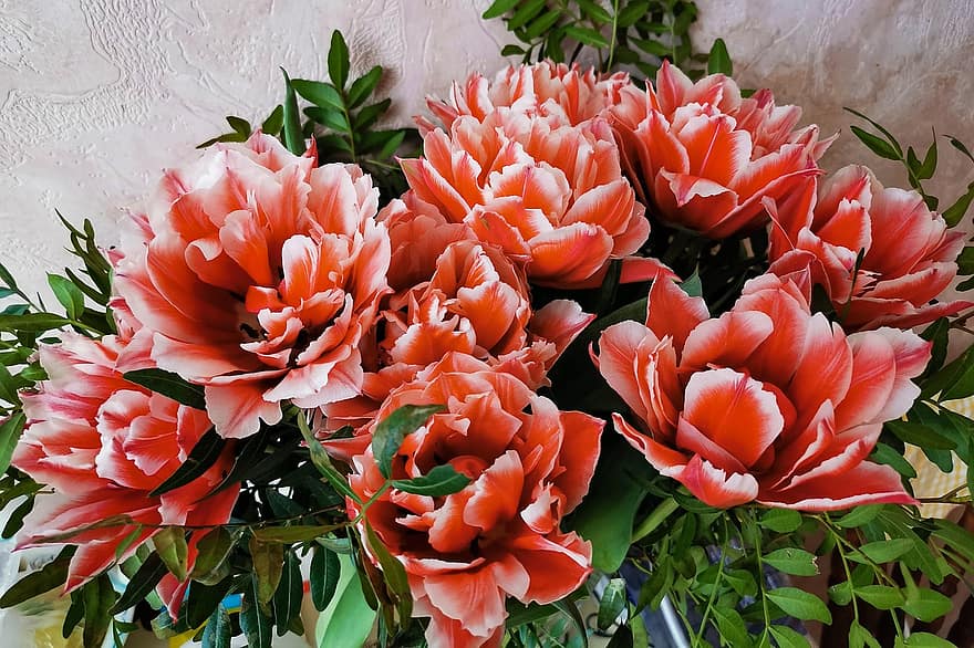 тюльпаны, цветы, букет, красные цветы, Тюльпан Drumline, Двойные поздние тюльпаны, лепестки, цветение, листья, украшение, декоративный