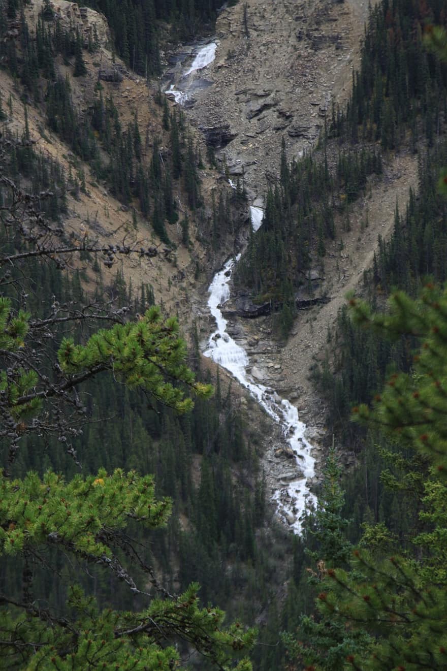 râu, munţi, Banff, Munte, pădure, peisaj, copac, apă, călătorie, zăpadă, de munte