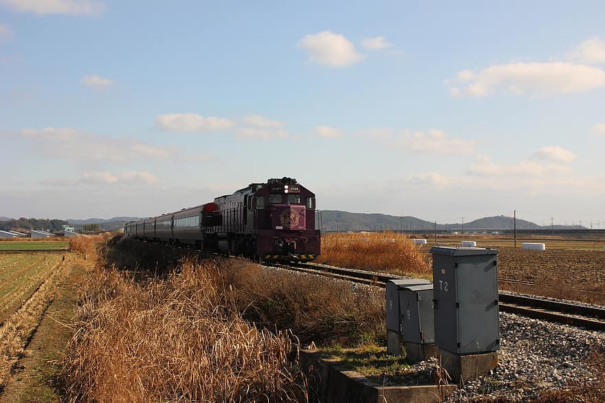 trein, reizen, vervoer, natuur, buitenshuis, avontuur, landelijk, Korea, Gunsan, het spoor, locomotief