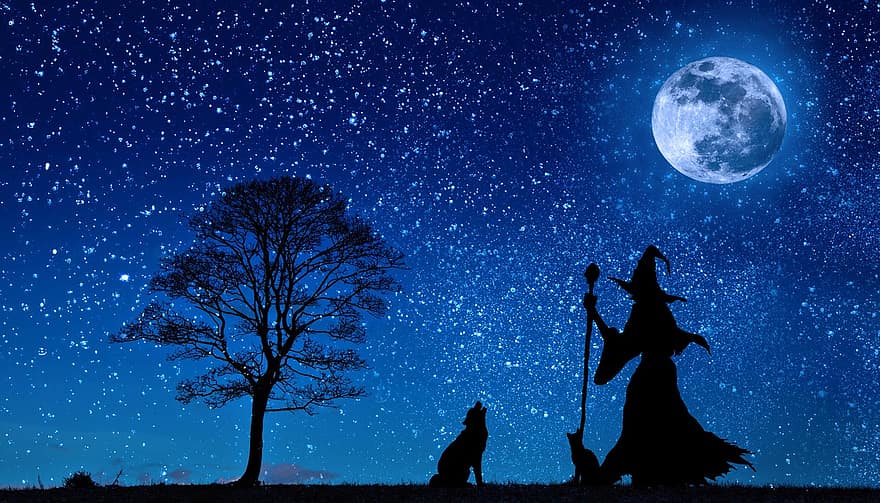 魔女、ファンタジー、土曜日、ハロウィン、狼、月、木、シルエット、遠吠え、オオカミの遠吠え、星が輝く夜