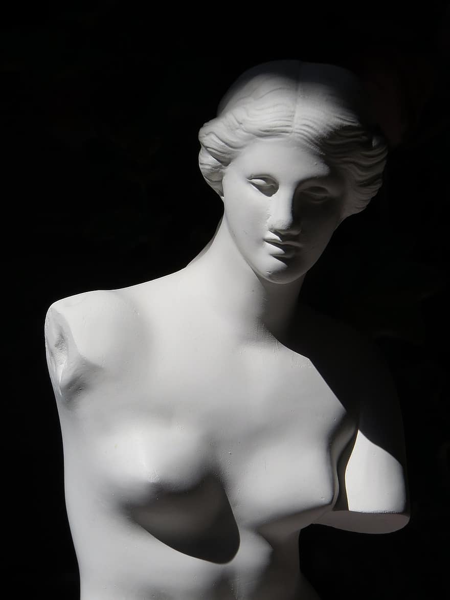 Venera, ģipsis, modeli, skulptūra, sieviete, jaunieši, krūts, poza, gaisma