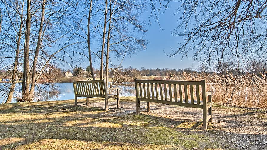 Seating, Bench, Riverbank, Lake, Reed, Trees, Season, tree, wood, autumn, grass