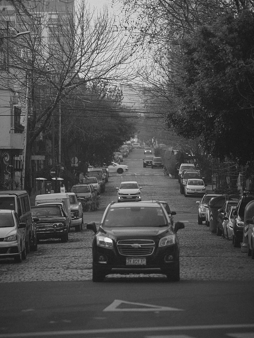 thành phố, giao thông, đường phố, đường, thành thị, đen và trắng