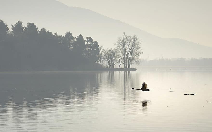 lac, natură, în aer liber, apă, bărbați, pescuit, peisaj, Activitatea de agrement, o scenă liniștită, vară, siluetă