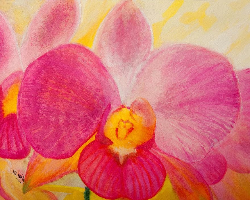 iris, Crin, orhidee, petală, roz, acuarelă, pictură, floral, inflori, tropical, artistic