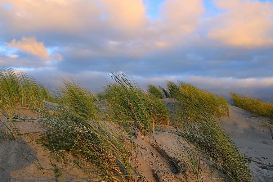 grama do marram, areia, junco, dunas de areia, dunas, panorama, paisagem de dunas, nuvens, natureza, costa, descansar