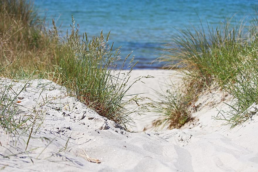 Dune, Summer, Sun, Walk On The Beach, Vacations, Sea, Sky, Water, Sand, Relaxation, Baltic Sea