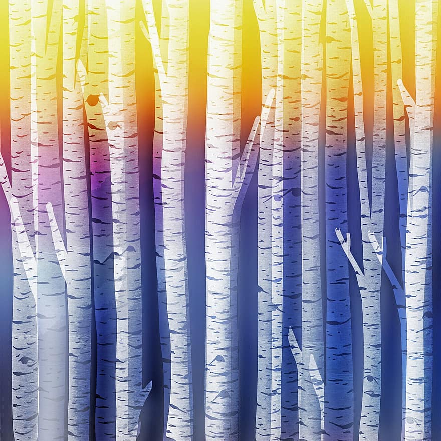 شجرة البتولا الخلفية ، سكرابوكينغ ، أزرق ، الأشجار ، البتولا ، موسمي ، ايزمان ، البرد ، شتوي ، شتاء ، المناظر الطبيعيه