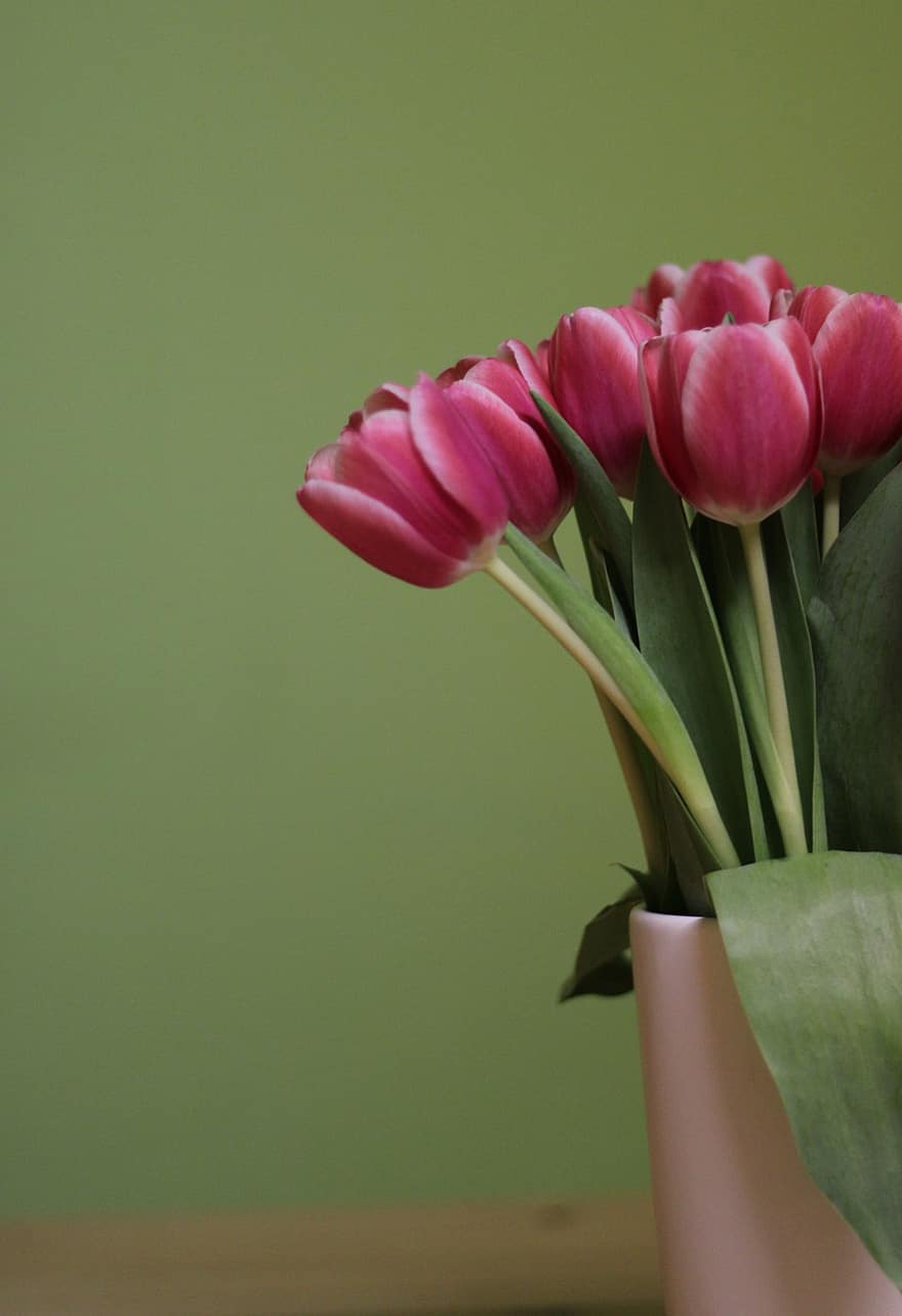 Tulpen, Blumen, Vase, Strauß, pinke Blumen, Pflanze, Blumenvase, Frühling, Blume, Tulpe, grüne Farbe