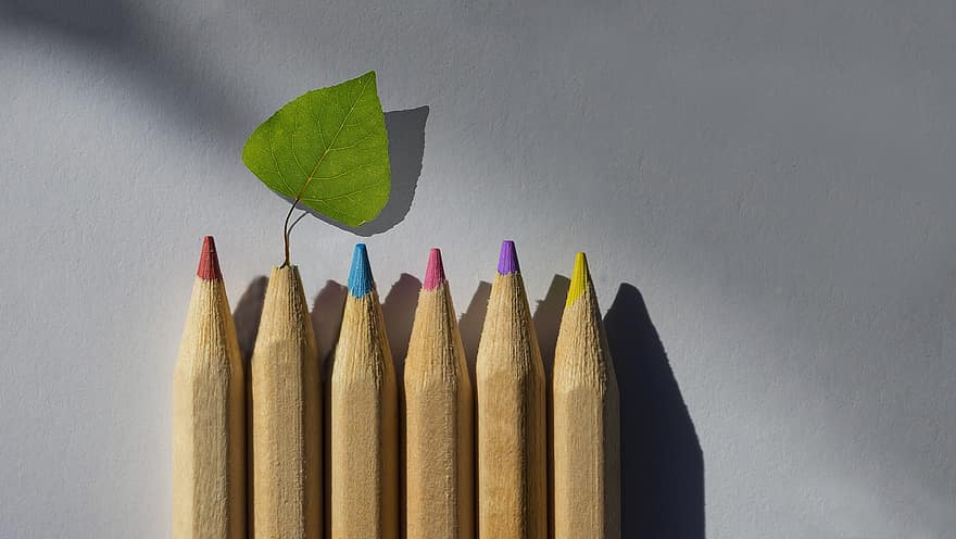 fargeblyanter, blyanter, blad, Assorterte farger, nærbilde, blyant, tre, gul, utdanning, multi farget, bakgrunn