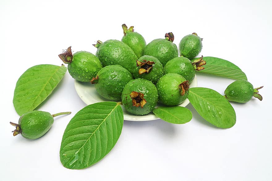 guavas, frukt, mat, duggdråper, blader, innhøsting, moden, organisk, sunn, produsere, fersk