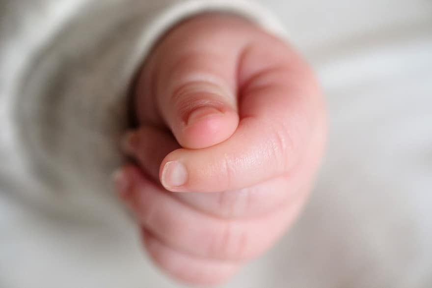 bebé, mano, dedos, infantil, niño, parte del cuerpo, niño pequeño, de cerca, mano humana, pequeña, linda