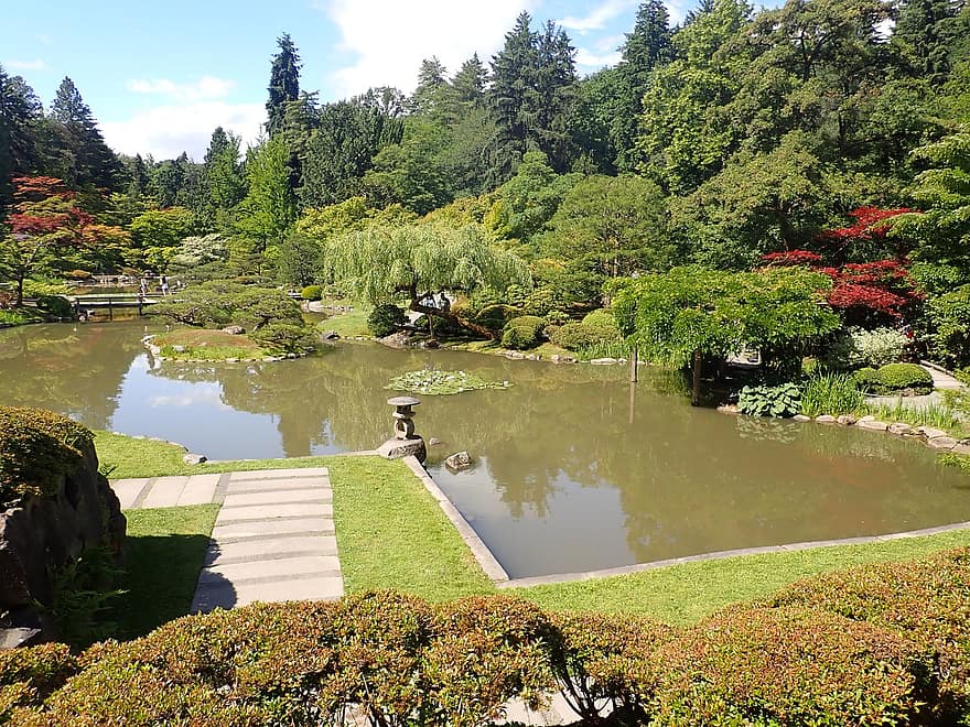japansk hage, parkere, dam, vann, refleksjon, hage, trær, planter, landskap