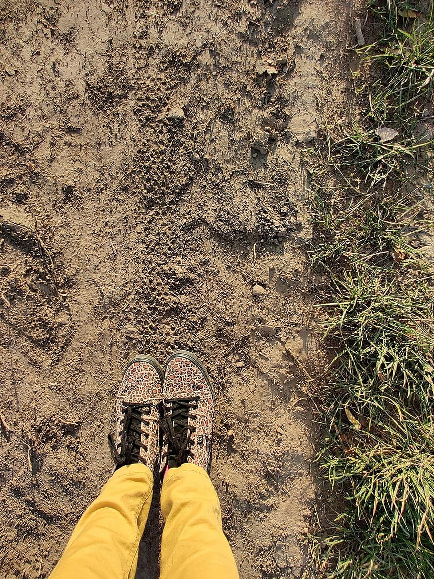jalan tanah, jejak ban, halaman rumput, sepatu, Sepatu sablon macan tutul