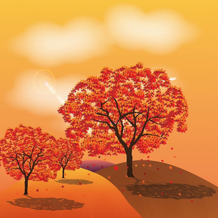 sfondo autunnale, alberi, arancia, autunno, natura, albero, le foglie, umore, fogliame, colorato, design