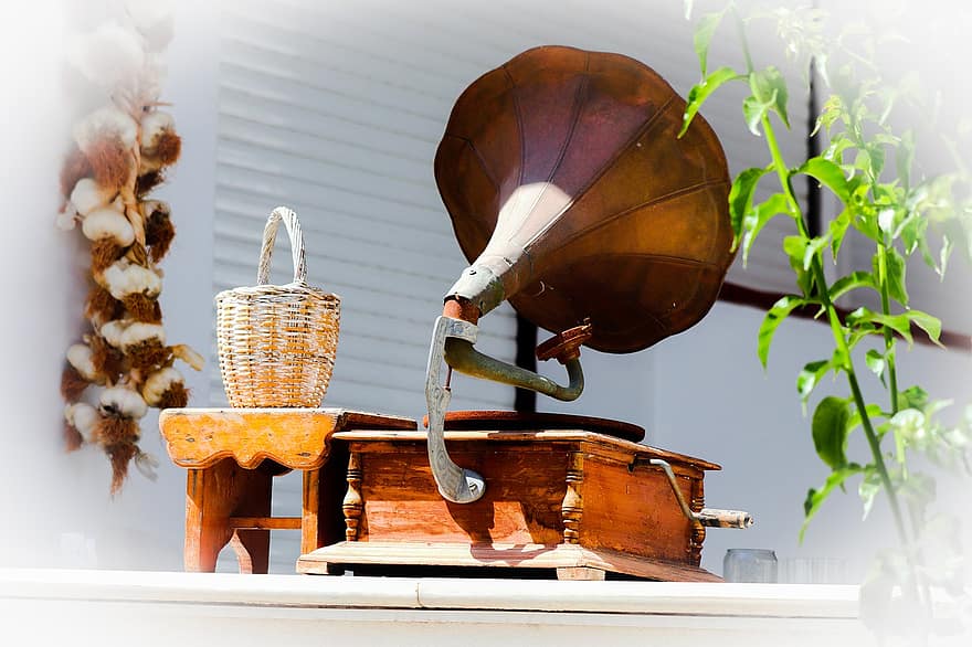 gramofon, antický, gramofonu, hudba, gramofonová deska, Shellac Record, dřevo, kultur, detail, letní, košík