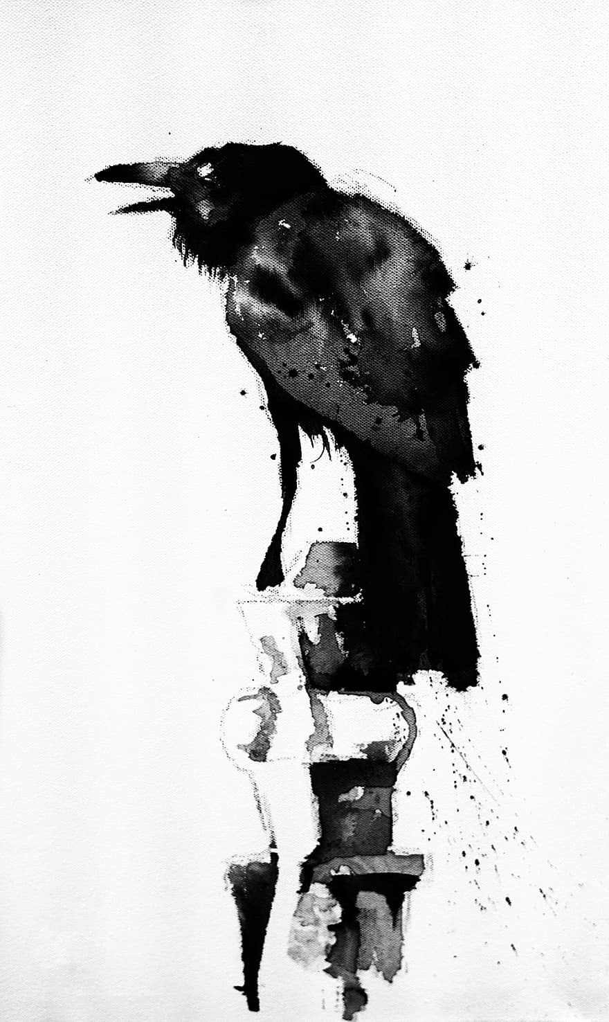 B W, Drawing, Painting, Crow