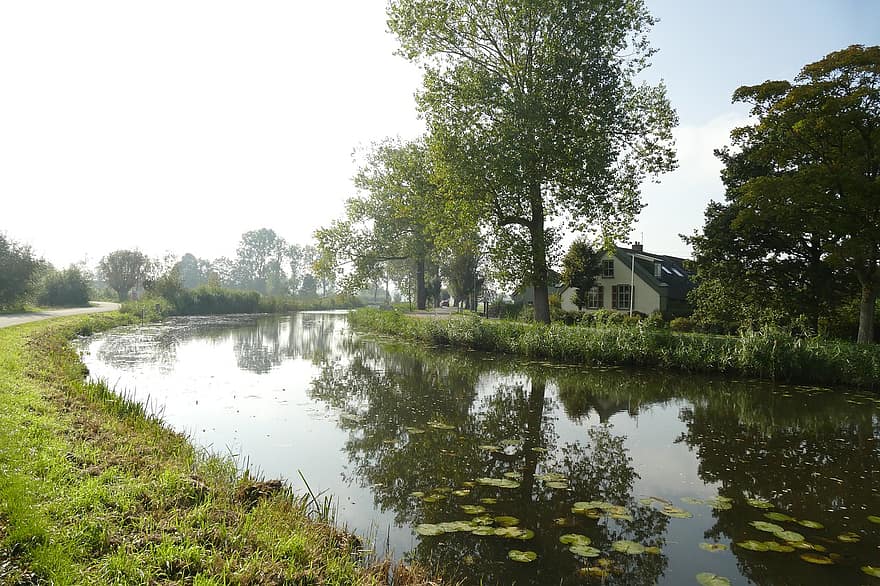 flod, lantlig, landsbygden, natur, landskap, nederländerna, sommar, träd, vatten, landsbygden scen, grön färg