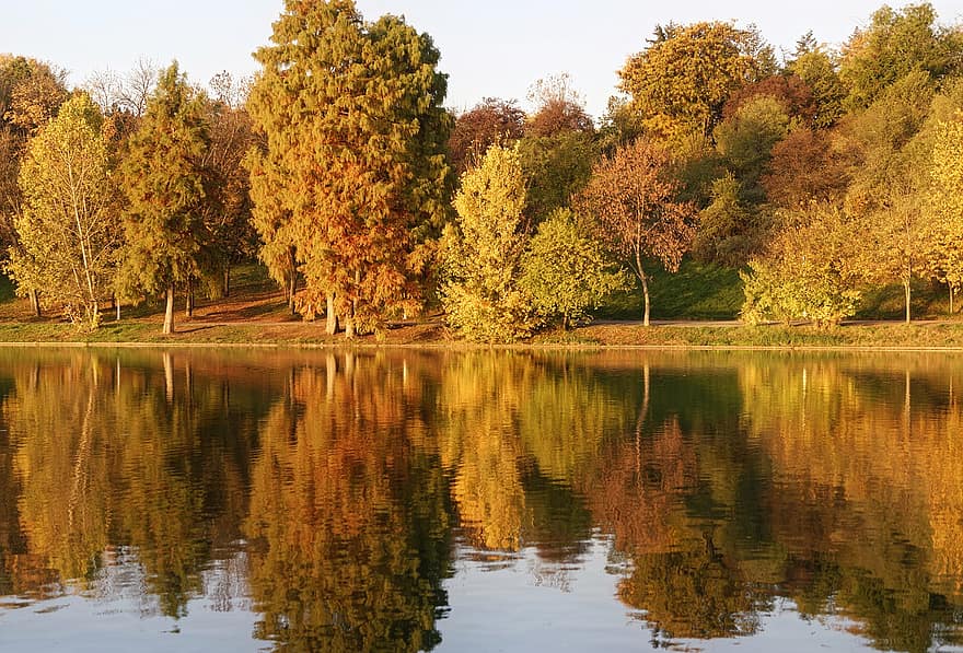 Příroda, podzim, park, jezero, stromy, sezóna