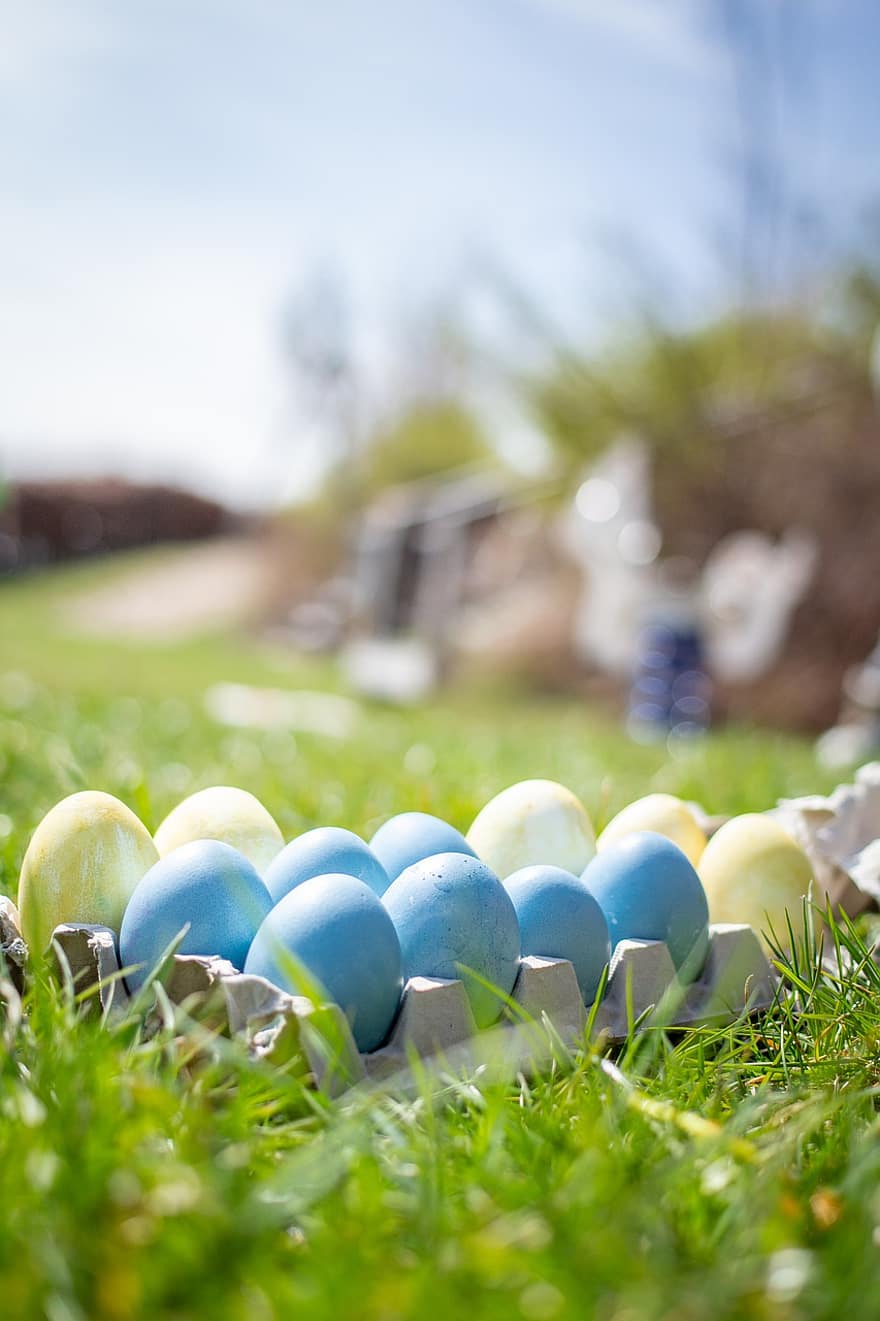 velikonoční, velikonoční vajíčko, rozsah, bio, hospodařit, venkovsky zivot, vejce, organická vejce