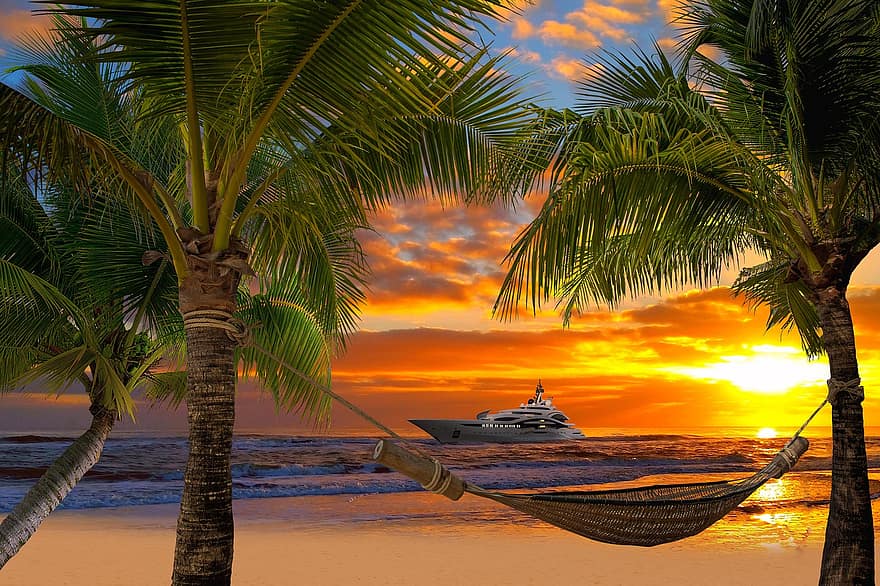 palmbomen, zee, zonsondergang, hangmat, strand, kust-, schip, reis, oceaan, kust, bomen