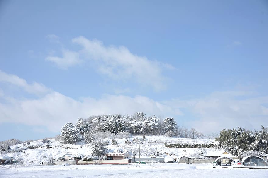 природа, зима, сезон, на открито, сняг, Република Корея, селски
