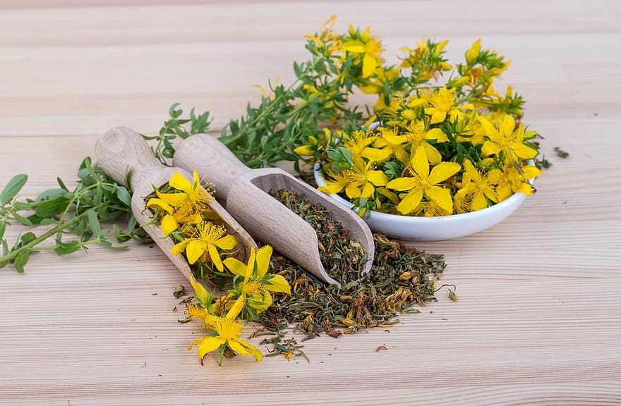 жълт кантарион, цветя, чай, черпак, hypericum perforatum, жълти цветя, лечебна билка, Лечебен чай, билков чай, билки, сушен