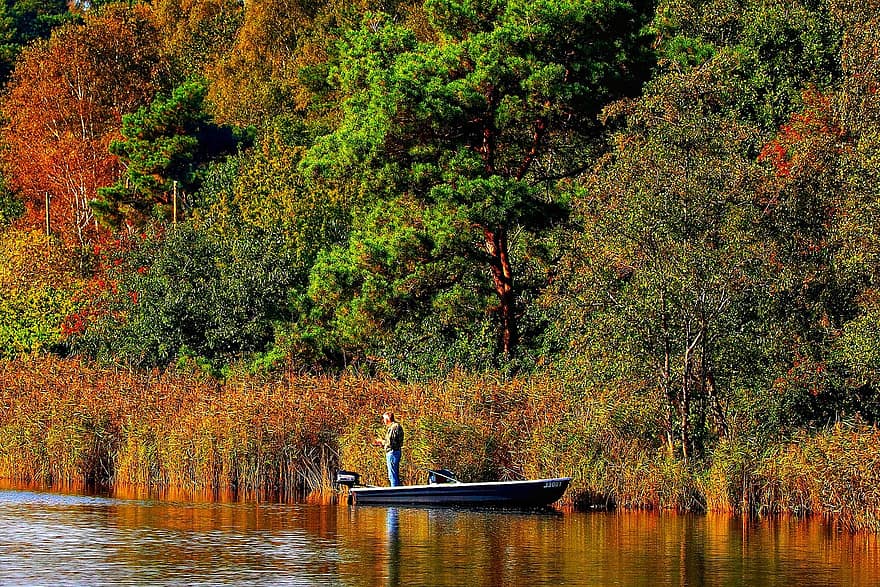 outono, rio, barco, homem, lancha, passeios de barco, na costa, reed, sai, folhas no outono, folhagem de outono
