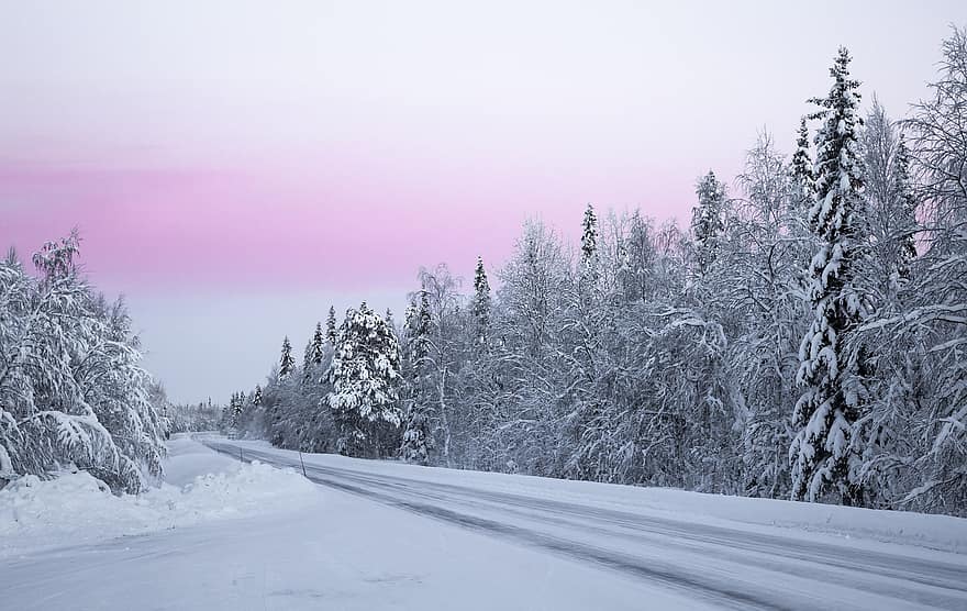 posta de sol, tarda, hivern, neu, bosc, carretera, cel, lapland, arbre, paisatge, temporada