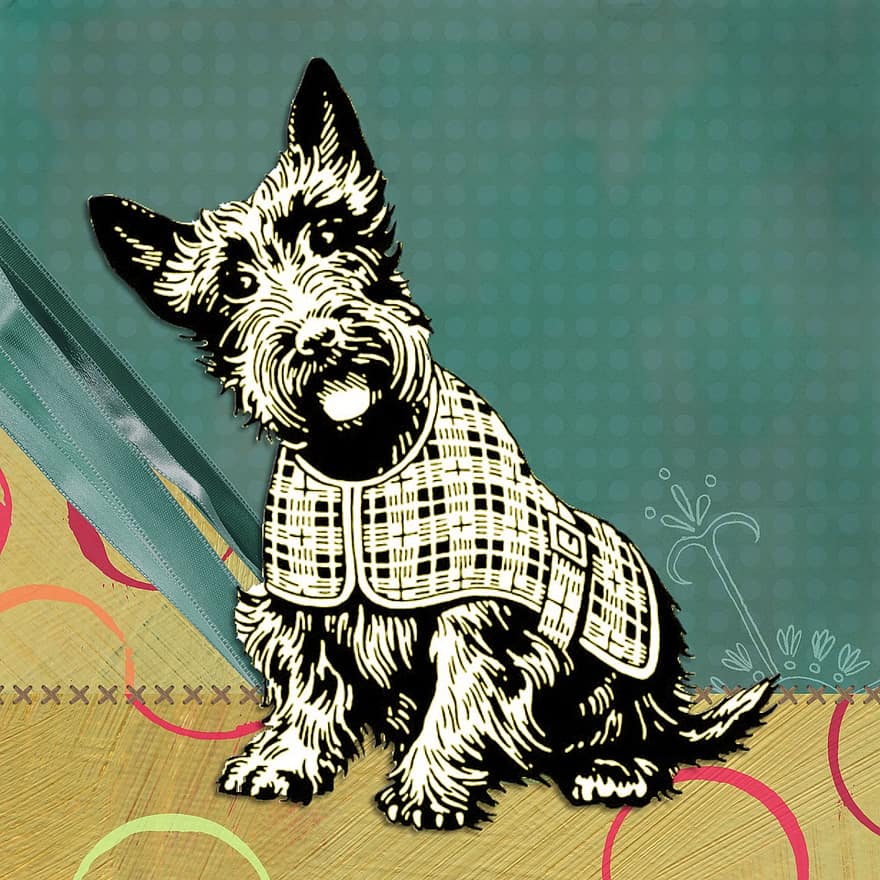шотландська, пес, сучасний, чирок, коло дизайн, смішно, романтичний, фон, записках, кумедні тварини, чарівний