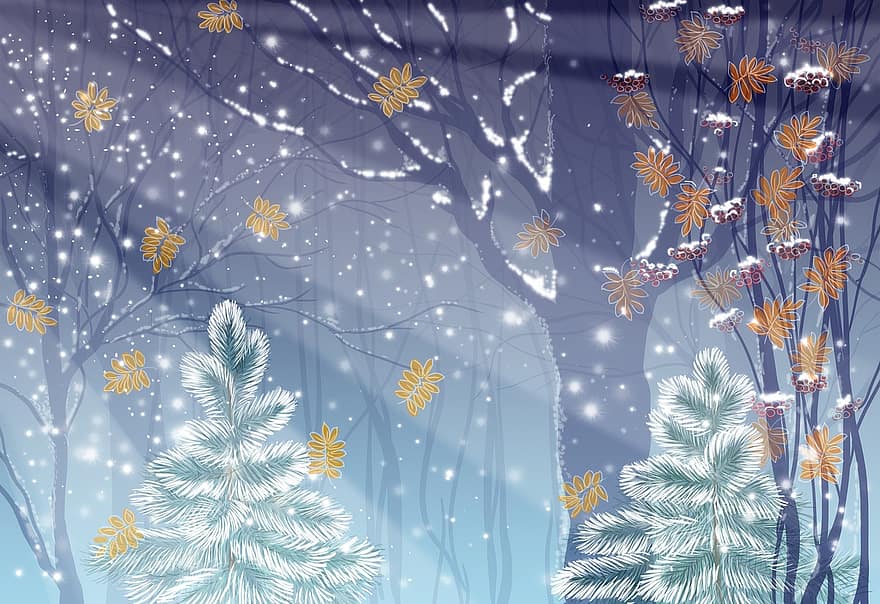 ilustrare, vector, iarnă, pădure, Rowan, zăpadă, razele, fundal, natură, pomi de Craciun, Brad de Crăciun