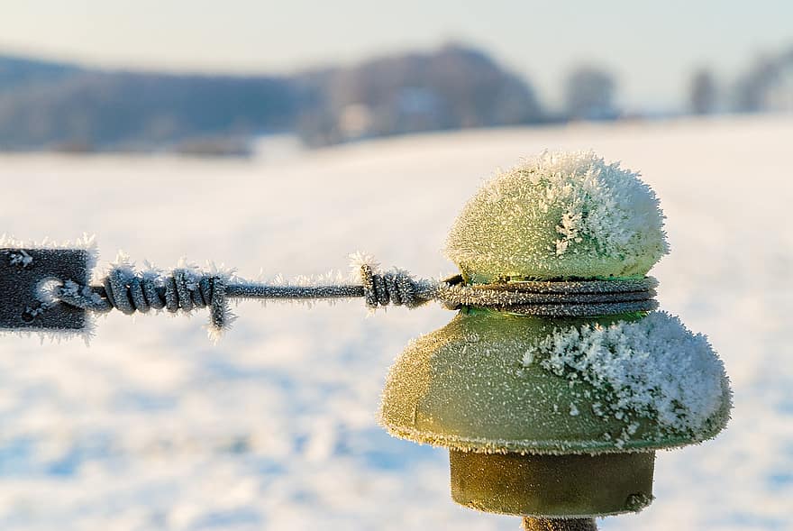 zvonek, zimní, sezóna, sníh, detail, led, mráz, lano, pozadí, strom, zamrzlý