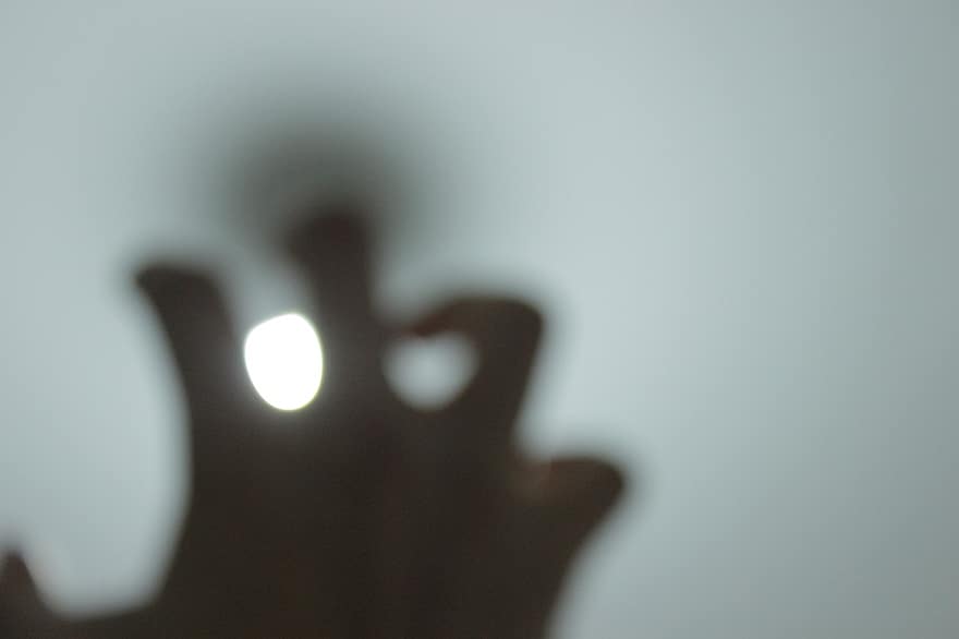 Light, Blur, Sun, Blurred, defocused, backgrounds, abstract, human hand, close-up, blurred motion, focus on foreground