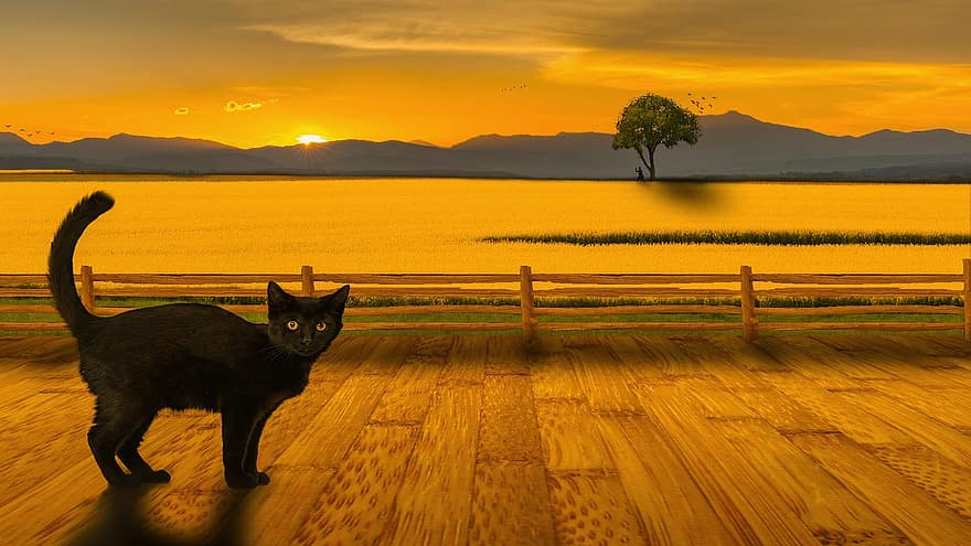 кошка, пейзаж, заход солнца, солнце, холмы, настил, забор, природа, время года, животное, живая природа
