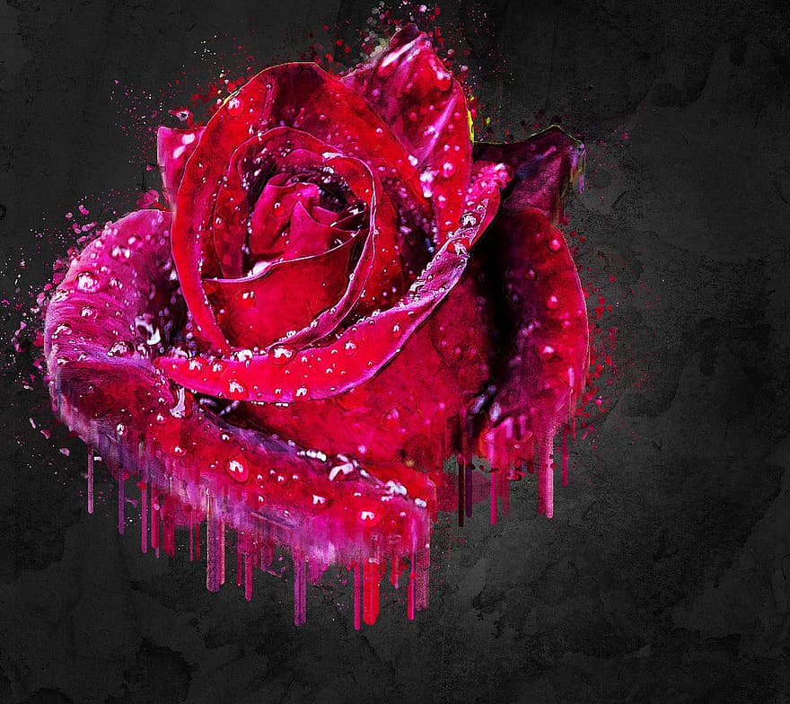 rouge, Rose, fleur, gouttes, la nature, plante, Floraison, humide, romance, manipulation numérique, photo d'art
