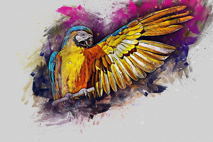 digital kunst, maleri, papegøje, akvarel
