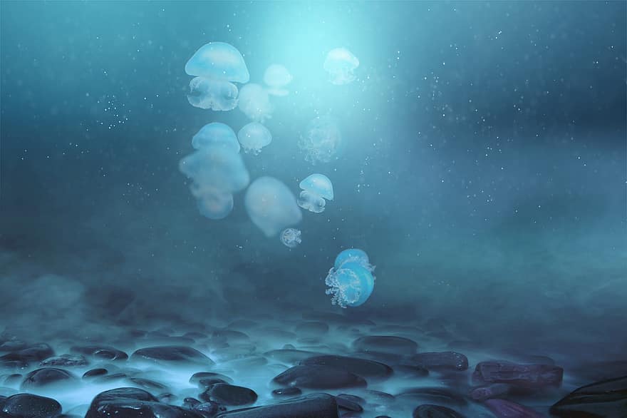 fantasia, meduses, màgia, surrealista, sota l'aigua, blau, aigua, peix, profund, fons, submarinisme