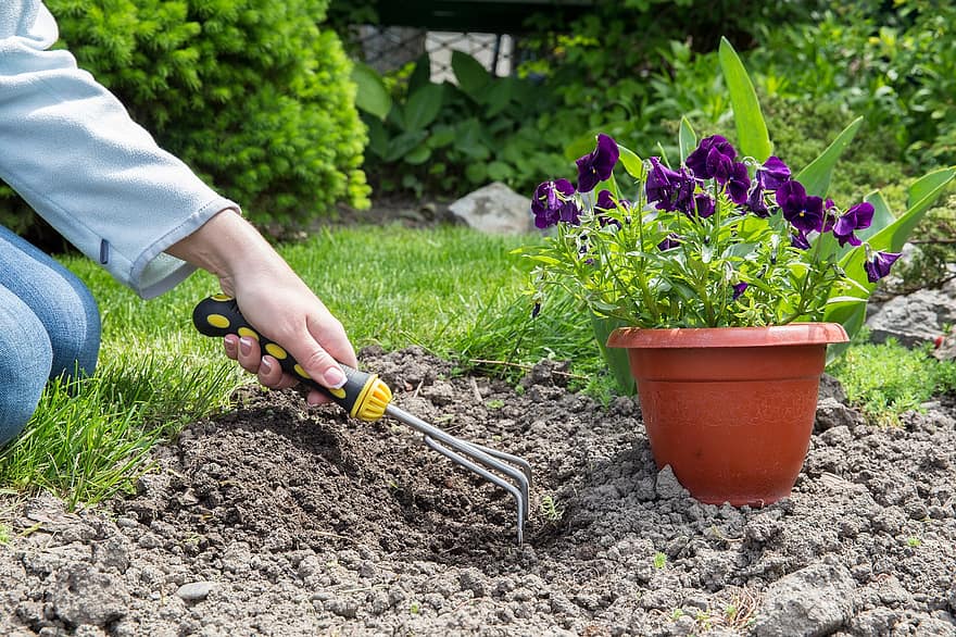 Gardening, Backyard, Cultivation, Nature, Autumn, plant, flower, dirt, growth, summer, planting