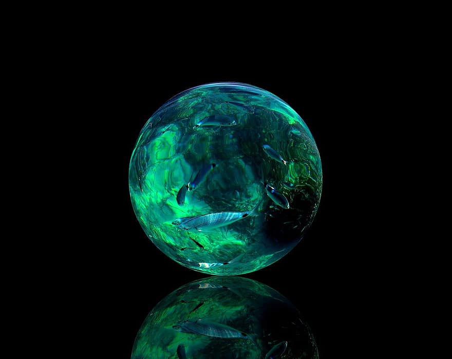 esfera, oceano, peixe, reflexão, fechar-se, líquido, origens, agua, vidro, transparente, molhado