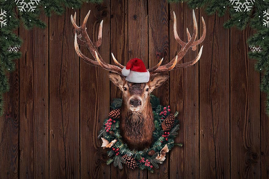 クリスマス、鹿、トナカイ、頭、取り付け済み、花輪、木、デコレーション、降圧、アントラーズ、トロフィー