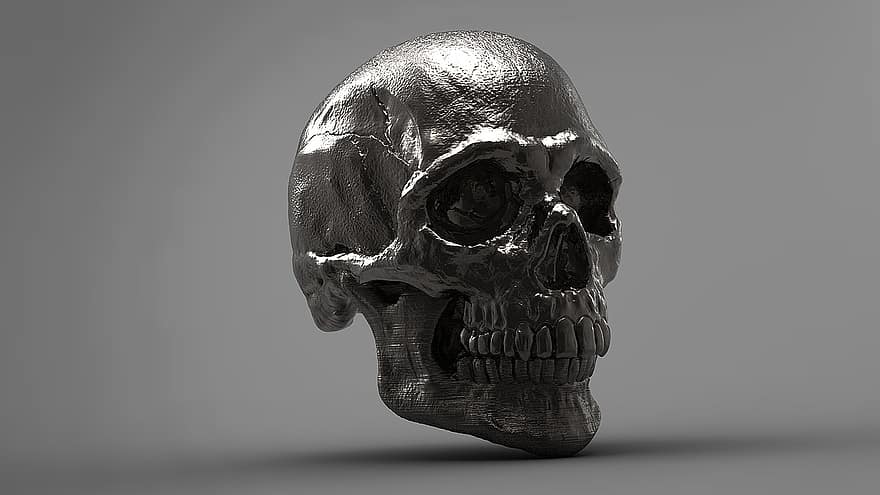 plata, cráneo, 3d