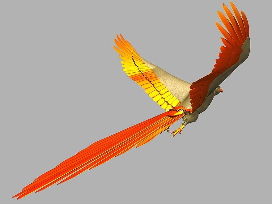 perroquet, oiseau, en volant, vol, ailes, Créatif, coloré, stylisé, oiseaux gris, couleur grise
