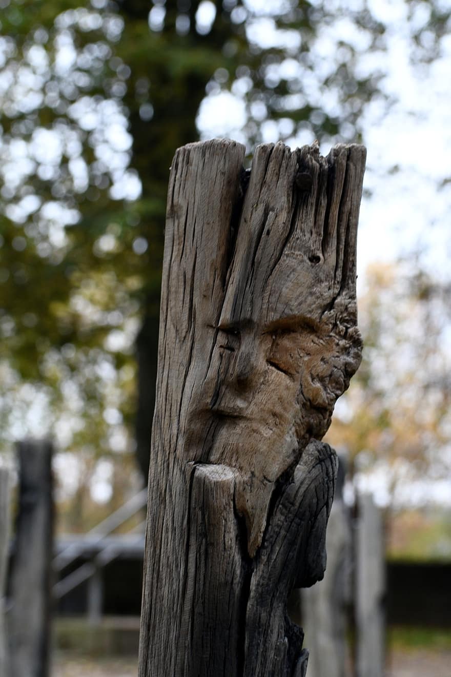 escultura de fusta, parc, exposició, Cares De Guerra, memorial