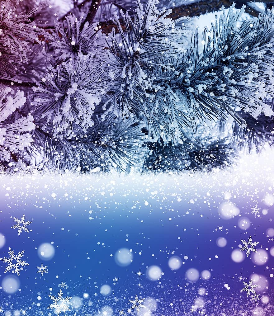 Schnee, Weihnachten, Urlaub, Frost, Weihnachtsbaum, Hintergrund, glänzend, Dezember, Platz, Karte, blauer Baum