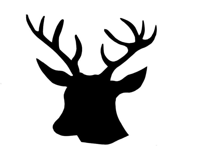 動物、ハーシュ、鹿の頭、角、輪郭、アウトライン、黒と白