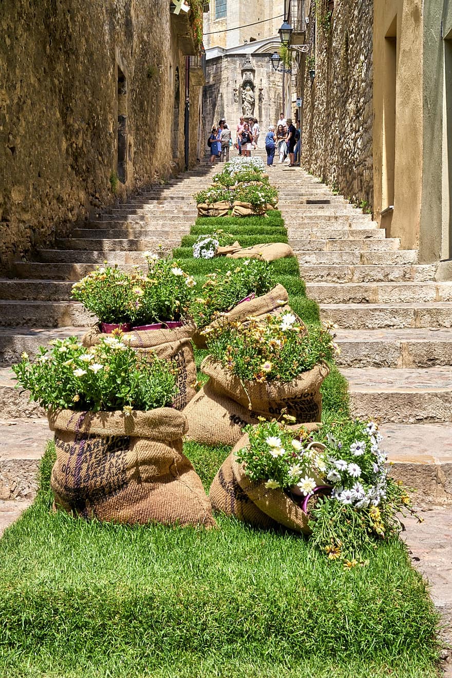 Girona, Flowers, Street Art, Street, Spain, Installation Art, Exhibit, flower, plant, summer, grass