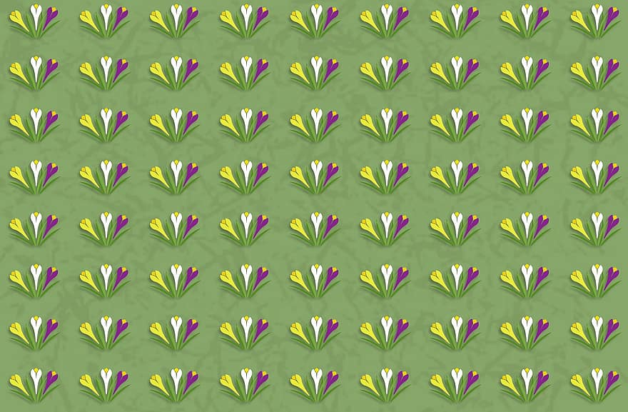 fons floral, patró de flors, motiu floral, flors, fons verd, fons de pantalla verd, patró, tulipa, fons, decoració, vector