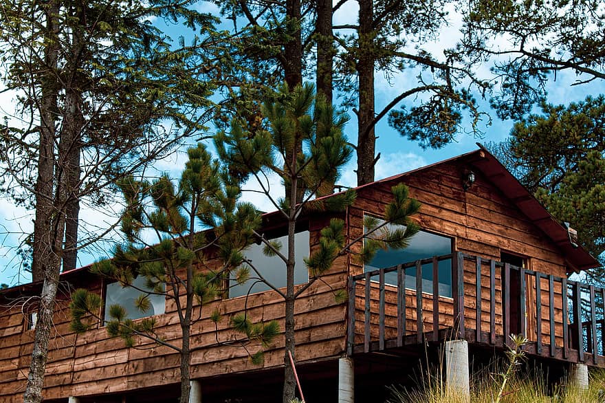 cabina, bosque, presentar, alojamiento, cabaña, refugio de montaña, cabina de madera, casa, arquitectura, arboles, al aire libre