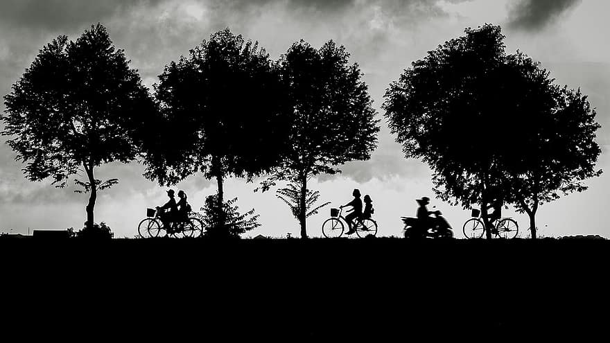 krajina, silueta, ježdění na kole, jízda na kole, park, stromy, listy, venku, hội an, Vietnam