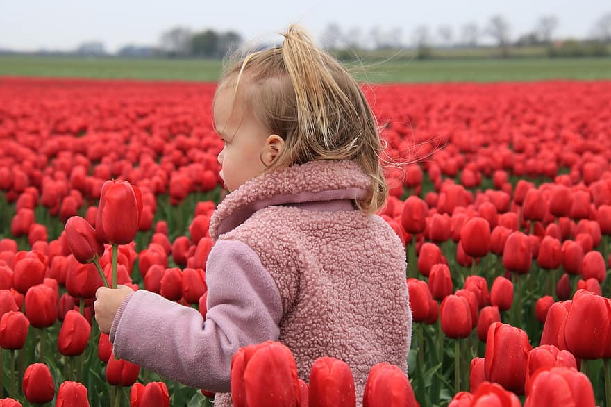 kwiaty, tulipany, dziecko, dziewczynka, Natura, flora, wiosna, na dworze, dzieciństwo, kwiat, tulipan
